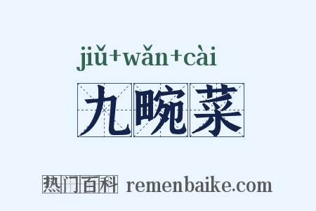 九畹菜是什么意思的图片